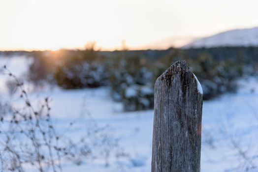 Close up of wooden pole winter landscape sunset