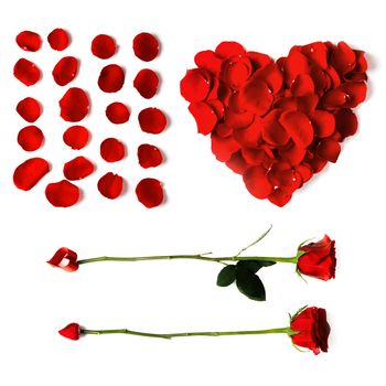 Heart shaped petals, arrow roses red set of petals isolated on white background