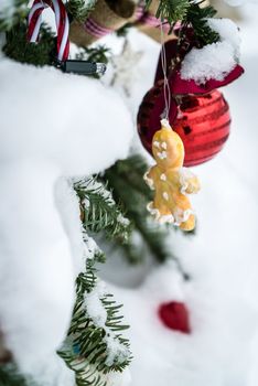 Christmas ball and biscuit hanging from a Christmas tree