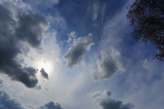 Looking up at the sky and the sun shining through light cloud overhead with other heavy dark grey clouds in the sky with Australian gum tree visible on right side