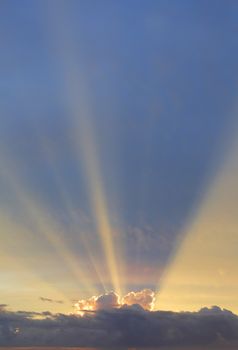 Vertical sky with sun rays bursting forth from behind clouds edged with light.