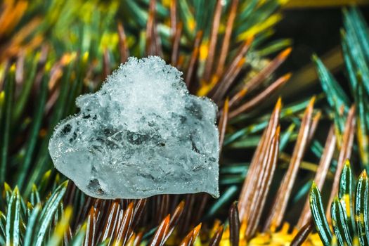 heart of snow in the needles of Christmas trees winter new year