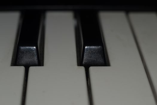 piano keys close-up macro photos of musical instruments