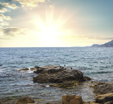 Beautiful seascape with sunrise. Composition of nature