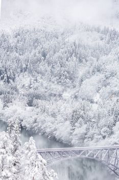 Winter landscape snow covered trees with train crossin River on Bridge