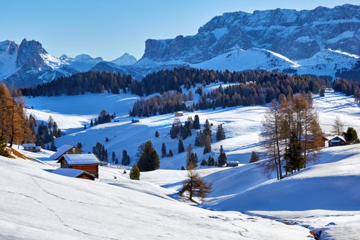 long shadows at morning in winter on Alpe di Siusi, Dolomites, Italy