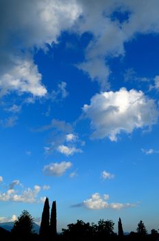 glimpse on silhouettes of trees in countryside with blue sky and clouds, vertical