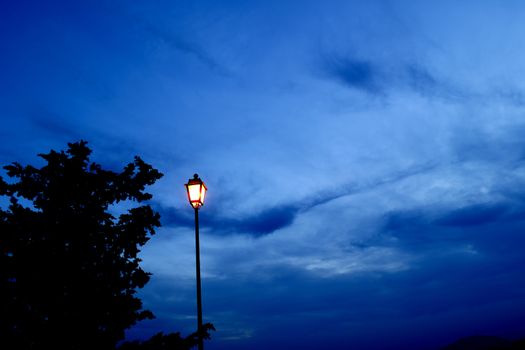 old fashioned streetlight, near a silouette of a tree with blue sky at the blue hour