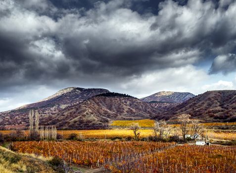 Vineyards. Autumn valley against the background of mountains and sky. HDR