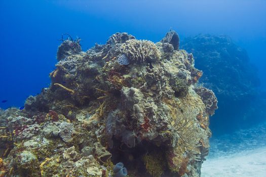 large outcrop of coral deep underwater