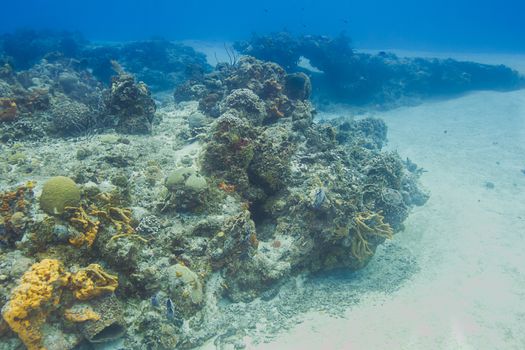outstrech of a coral reef on a sandy bottom