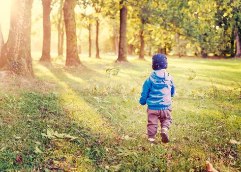 infant boy walk at sunset,ikid  in the park evening light, used split toning.