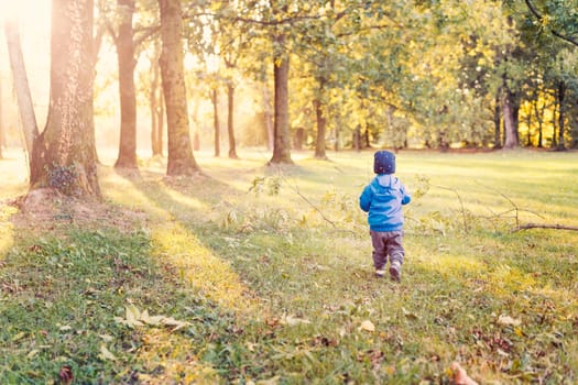 Baby boy walk at sunset,infant boy in the park evening light, used split toning.