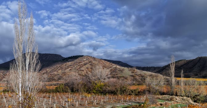 Vineyards. Autumn valley against the background of mountains and sky