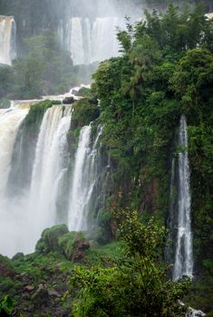 iguazu falls national park. tropical waterfalls and rainforest landscape