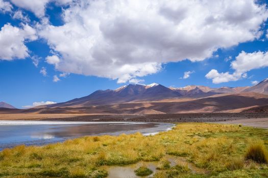 Altiplano laguna in sud Lipez reserva Eduardo Avaroa, Bolivia