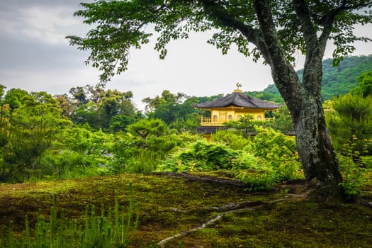 Kinkaku-ji golden temple pavilion in Kyoto, Japan