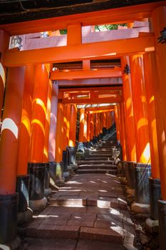 Fushimi Inari Taisha torii shrine, Kyoto, Japan