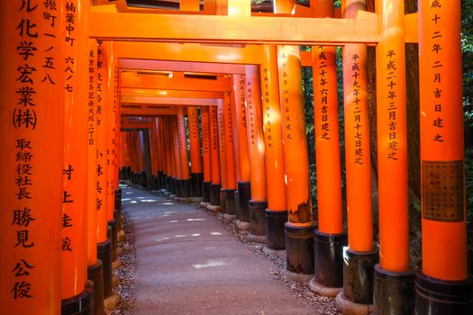 Fushimi Inari Taisha torii shrine, Kyoto, Japan