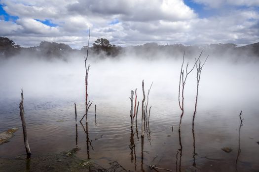 Misty lake and forest in Rotorua volcanic area, New Zealand