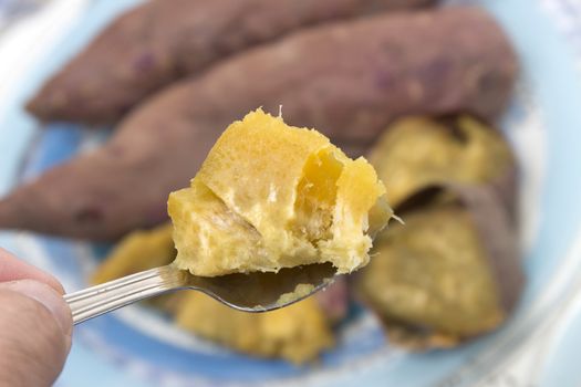 Traditional cooked oven sweet potatoes, from Portuguese cuisine.