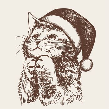 freehand sketch illustration of little cat, kitten with christmas santa hat, doodle hand drawn