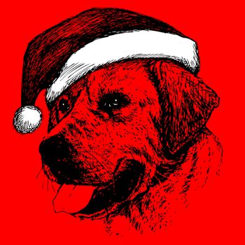 Labrador Retriever dog with santa claus hat hand drawn , use for christmas background