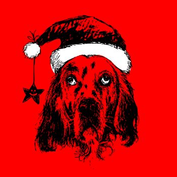 English setter dog with santa claus hat hand drawn , use for christmas background