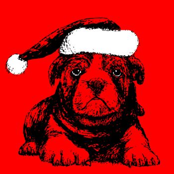 Bulldog with santa claus hat hand drawn , use for christmas background