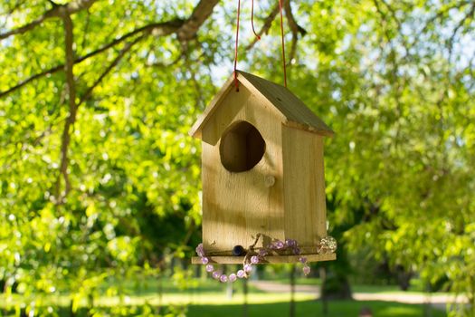 a house for birds summer crafts from wood in the Park