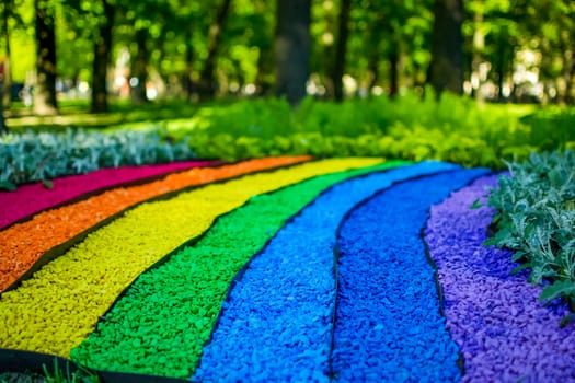 rainbow on earth, a walk in the Park a rainbow of stones