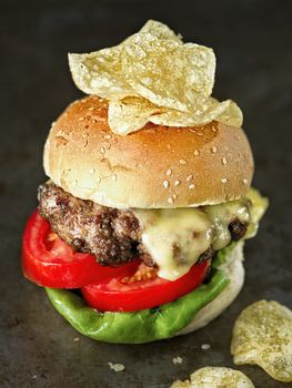 close up of rustic american hamburger