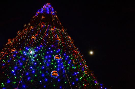 Christmas tree on black background night new year's eve 2018