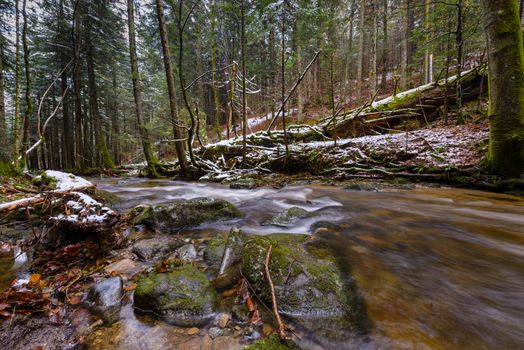 Large fallen trunk of spruce, fir in the woods, Maroltova jelka, mountain river, stream, creek with rapids in late autumn, early winter with snow, vintgar gorge, Slovenia