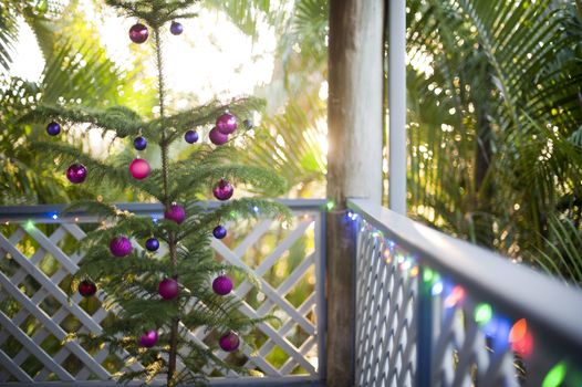 Fresh natural evergreen Christmas tree growing in a pot on an outdoor deck or patio decorated with colorful Xmas baubles