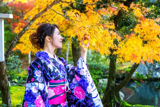 Asian woman wearing japanese traditional kimono in autumn park. Japan