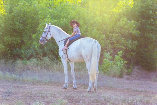 the girl in a hat sits on a white horse