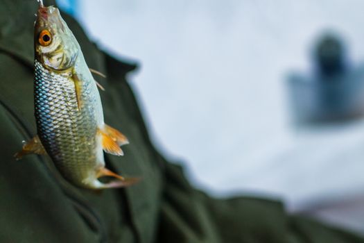 winter sport, winter fishing fishing outside on the ice