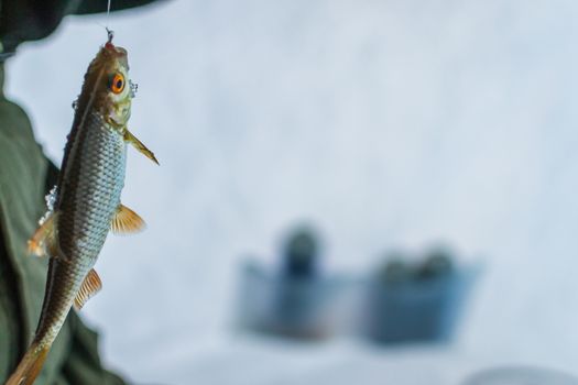 winter sport, winter fishing fishing outside on the ice