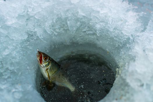 winter sport, winter fishing fishing outside on the ice