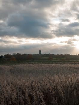 stream estuary running through countryside autumn Alresford Creek church; essex; england; uk