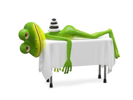 3D Illustration Frog on SPA Procedure on a White Background
