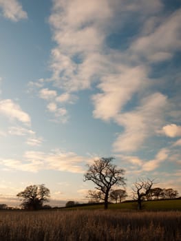 beautiful open landscape countryside space blue sky white clouds autumn; essex; england; uk