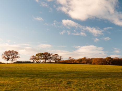 empty grass land country trees blue sky clouds landscape plain; essex; england; uk
