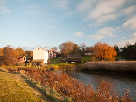 sunny autumn day white old famous mill Alresford countryside scene; essex; england; uk