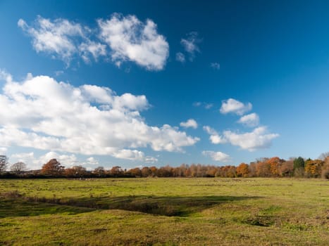 white clouds blue open sky space green grass land farm; essex; england; uk