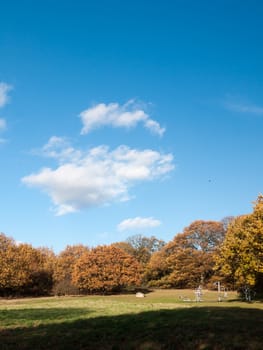 empty autumn grass and tree landscape sky clouds; essex; england; uk