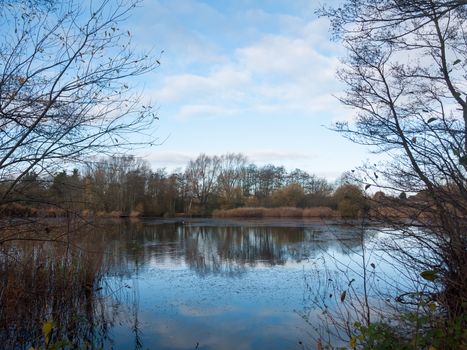 beautiful cold lake scene autumn branches water surface reflections; essex; england; uk