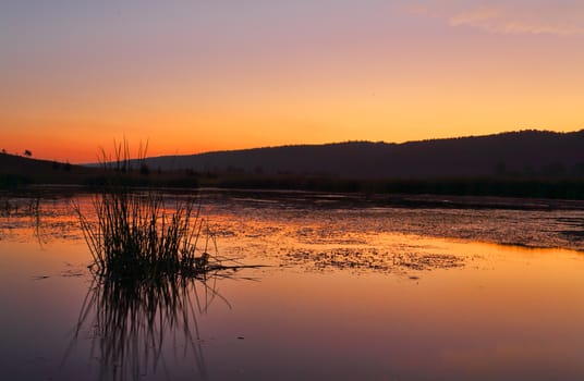 Penrith Wetlands just after sunset with Blue Mountains in distance.