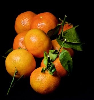 Fresh Ripe Tangerines with Leafs and Stems isolated on Black background. Focus on Foreground